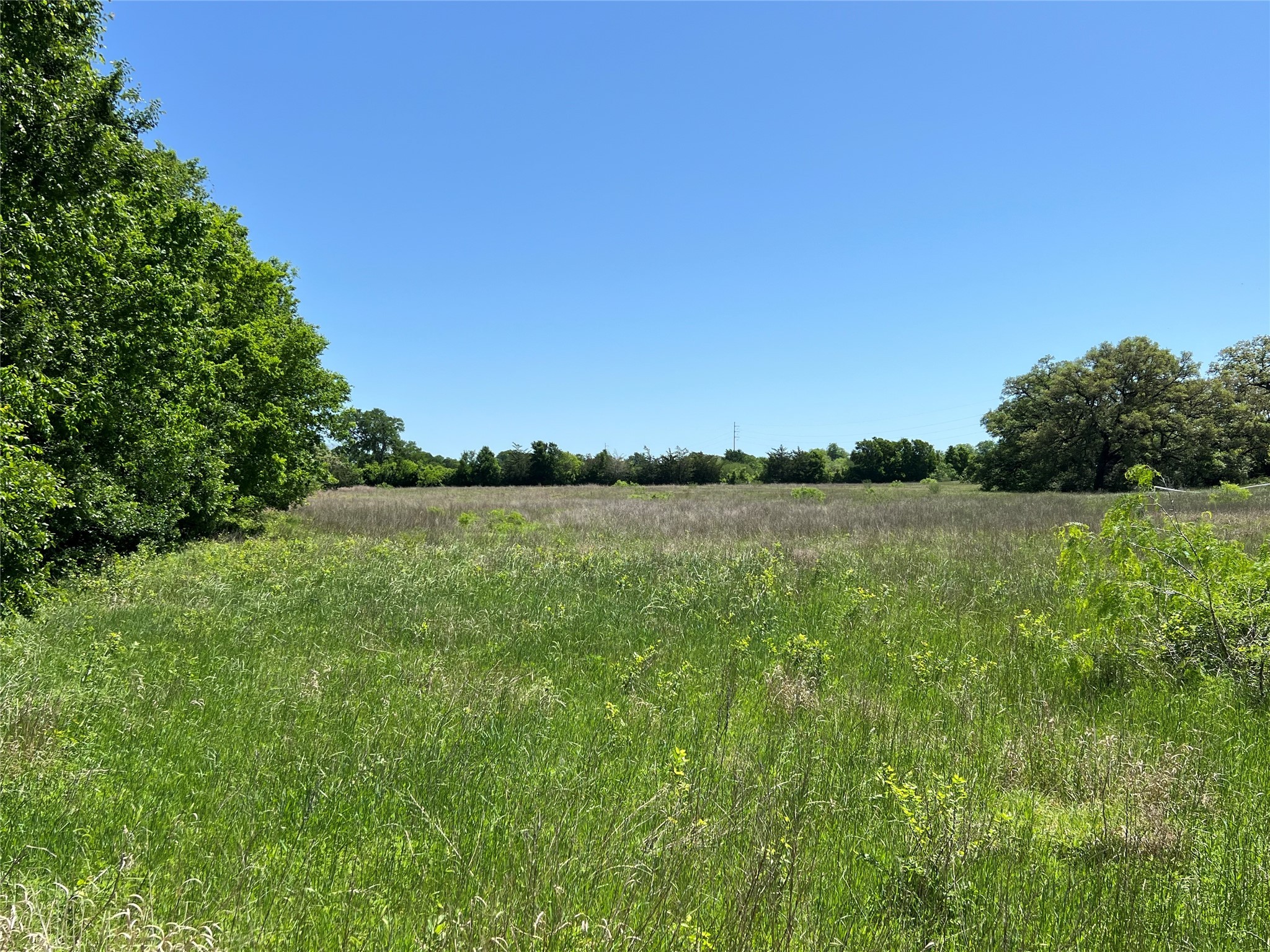 0 Fm 1579 And Langdon Road Schulenburg, TX 78956 - Photo 9 of 12 a view of a lake view with a lake view