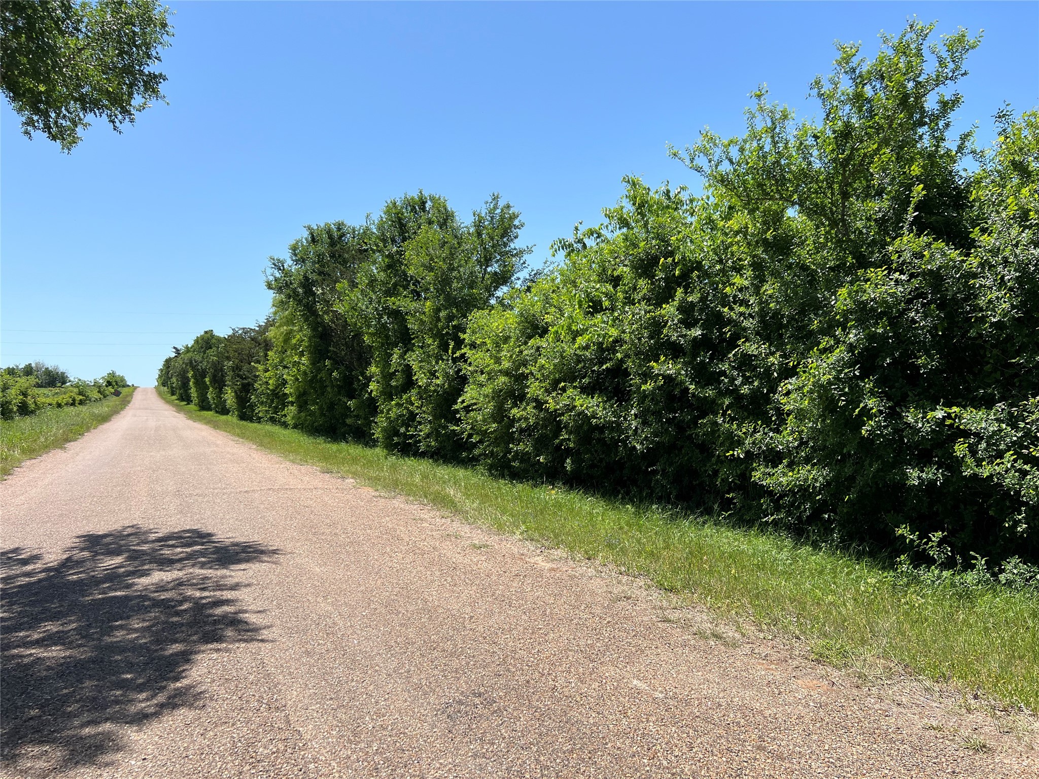 0 Fm 1579 And Langdon Road Schulenburg, TX 78956 - Photo 10 of 12 a view of a road with a yard