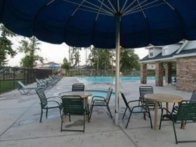 a view of a garden with a slide