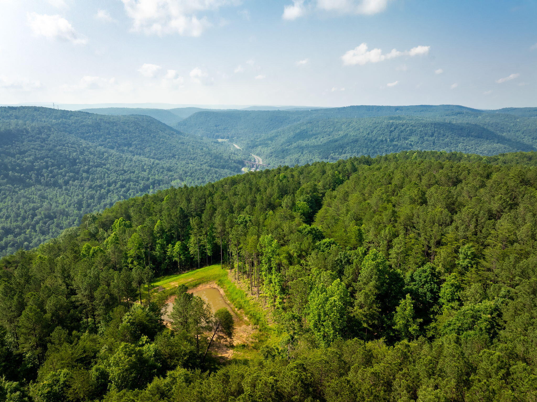 0 Split Rail Way, Unit LOT 1379 Guild, TN 37340 - Photo 13 of 30 13-web-or-mls-DJI_20250604072502_0831_D-