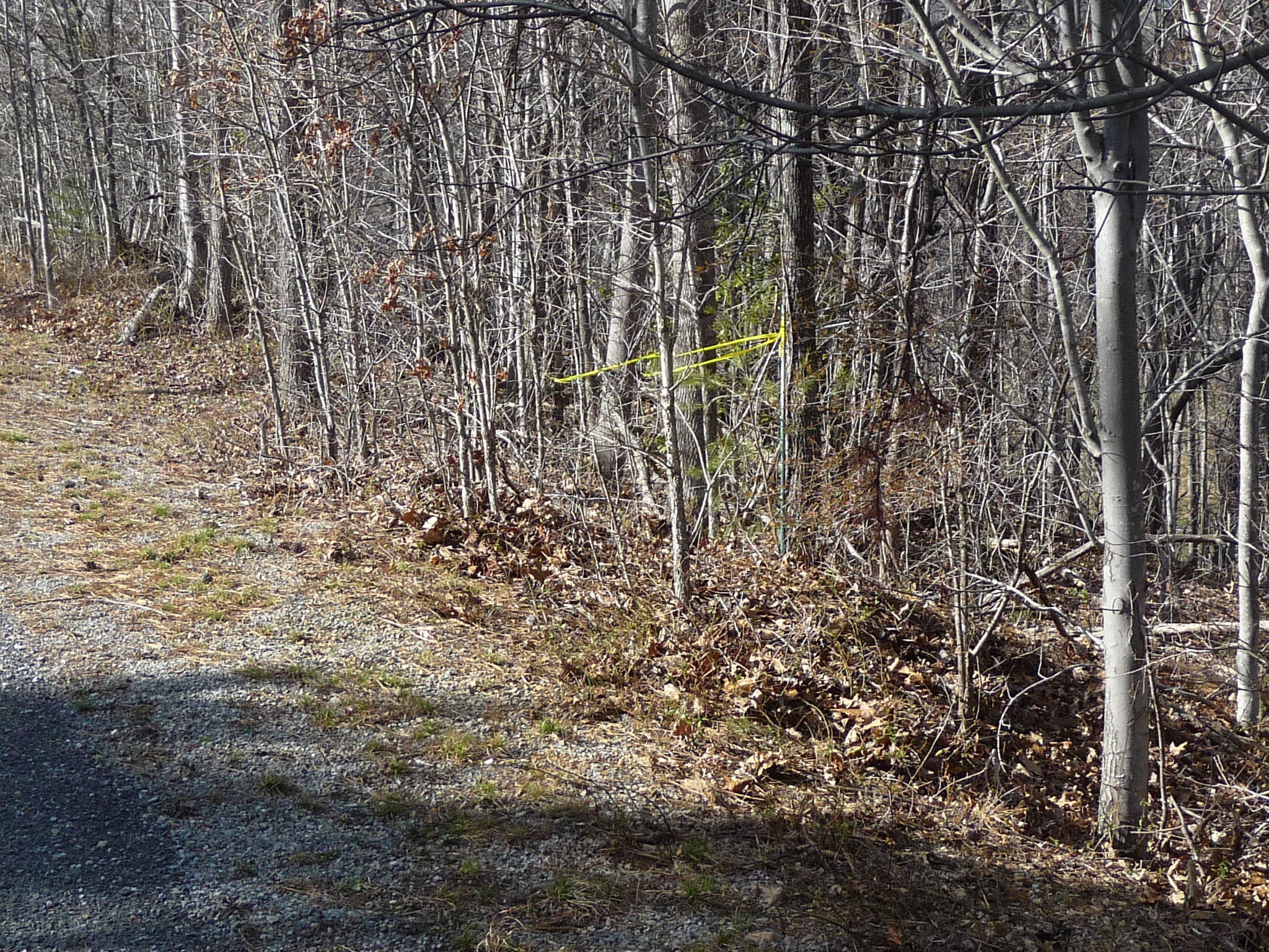 Lot 16 Fields Avenue Blue Ridge, VA 24064 - Photo 10 of 14