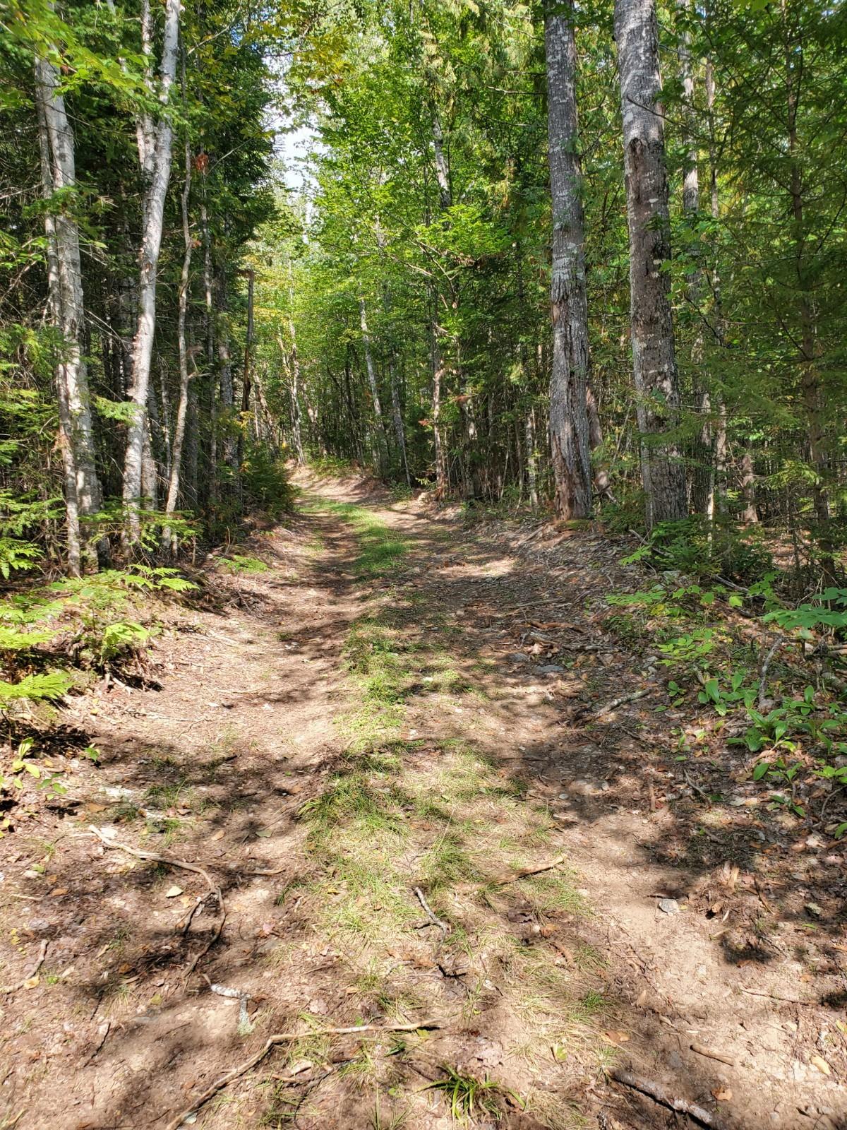 1 Gardner Point Road Mount Chase, ME 04765 - Photo 9 of 12 20200908_142506