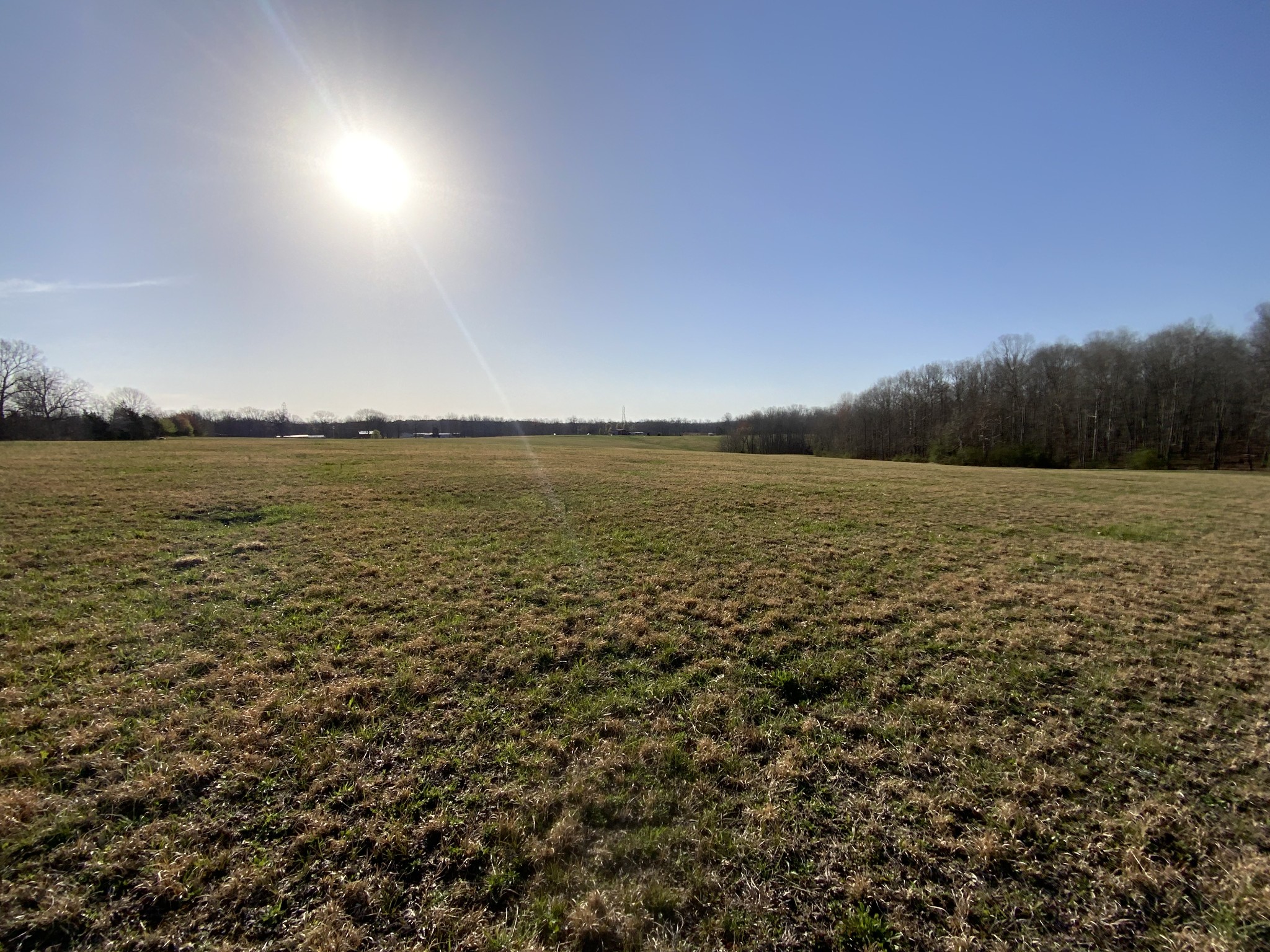 0 Swiss Colony Road Hohenwald, TN 38462 - Photo 3 of 21 Gallery Image 3