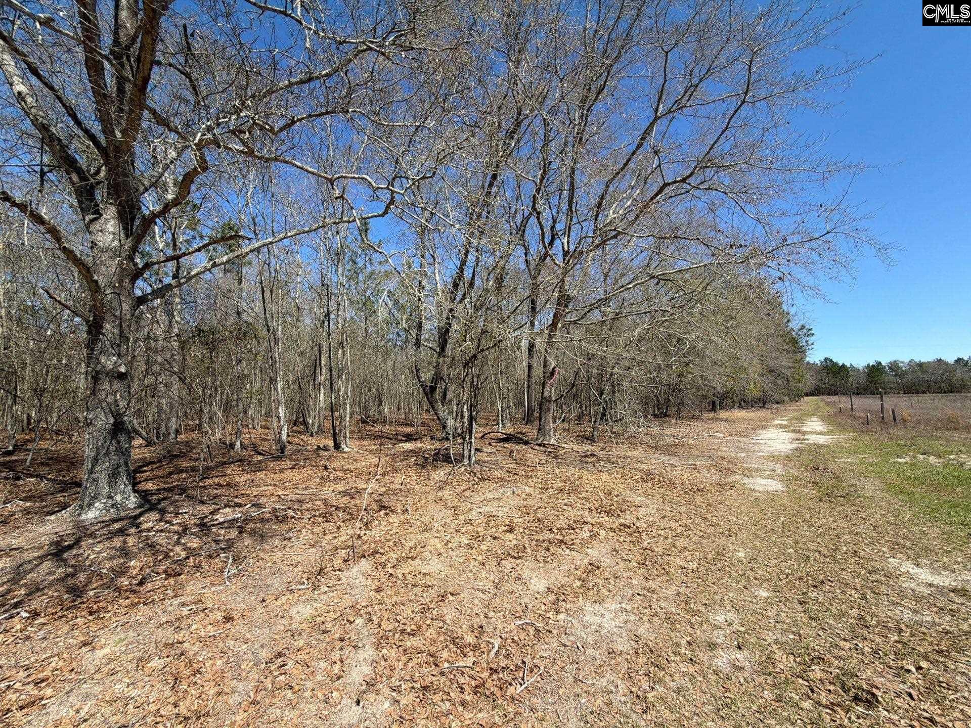 9 Boise Cascade Road, Unit BHL 9 Bethune, SC 29009 - Photo 10 of 44