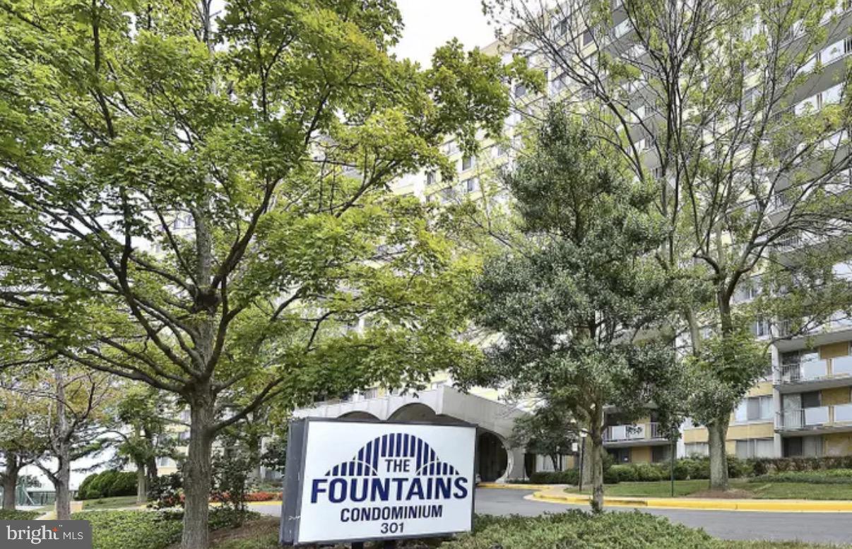 a view of a park that has large trees