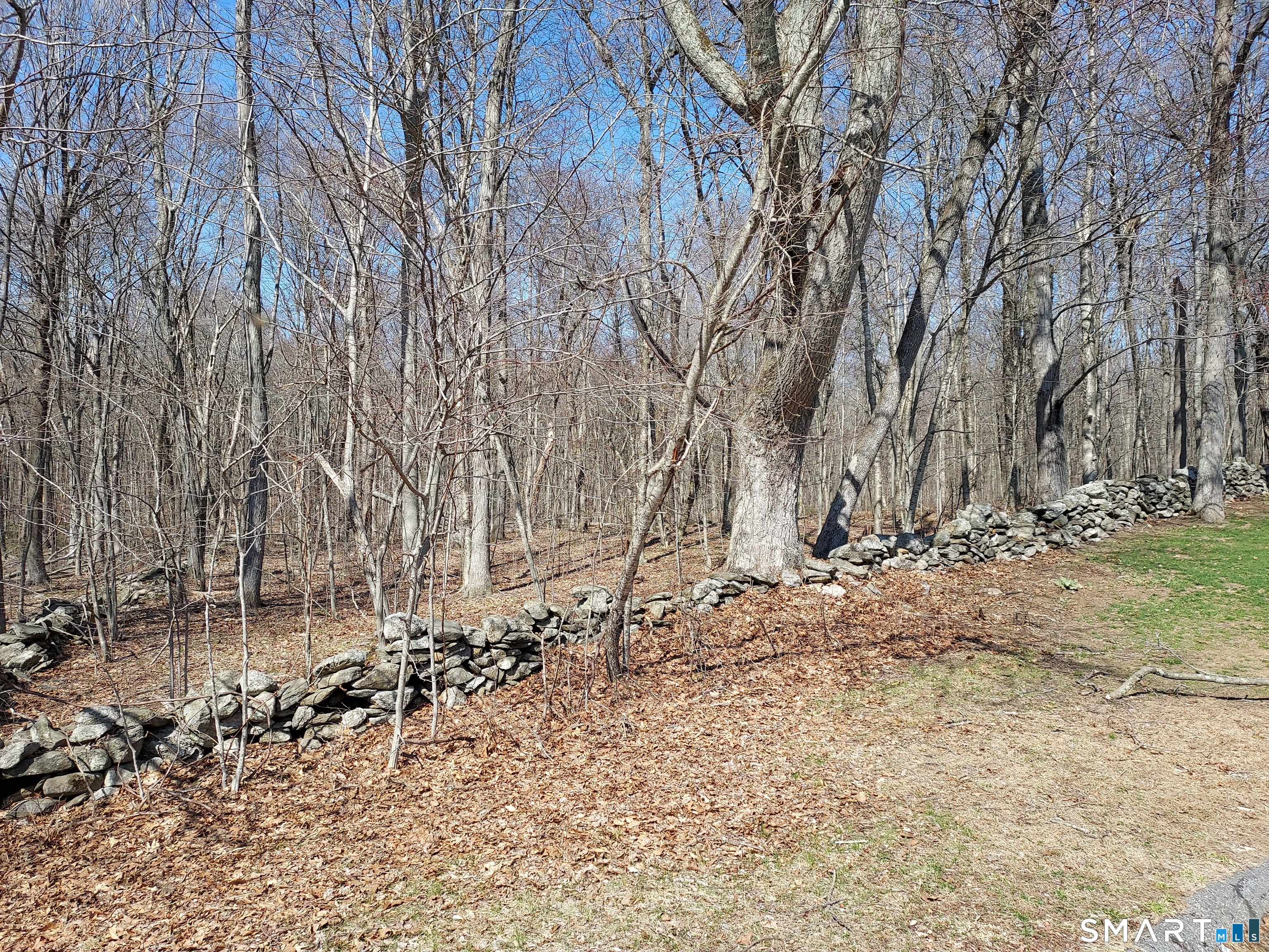 07-3 Wall Street Hebron, CT 06248 - Photo 7 of 12 Road Frontage Off End of Fox Ridge Ln