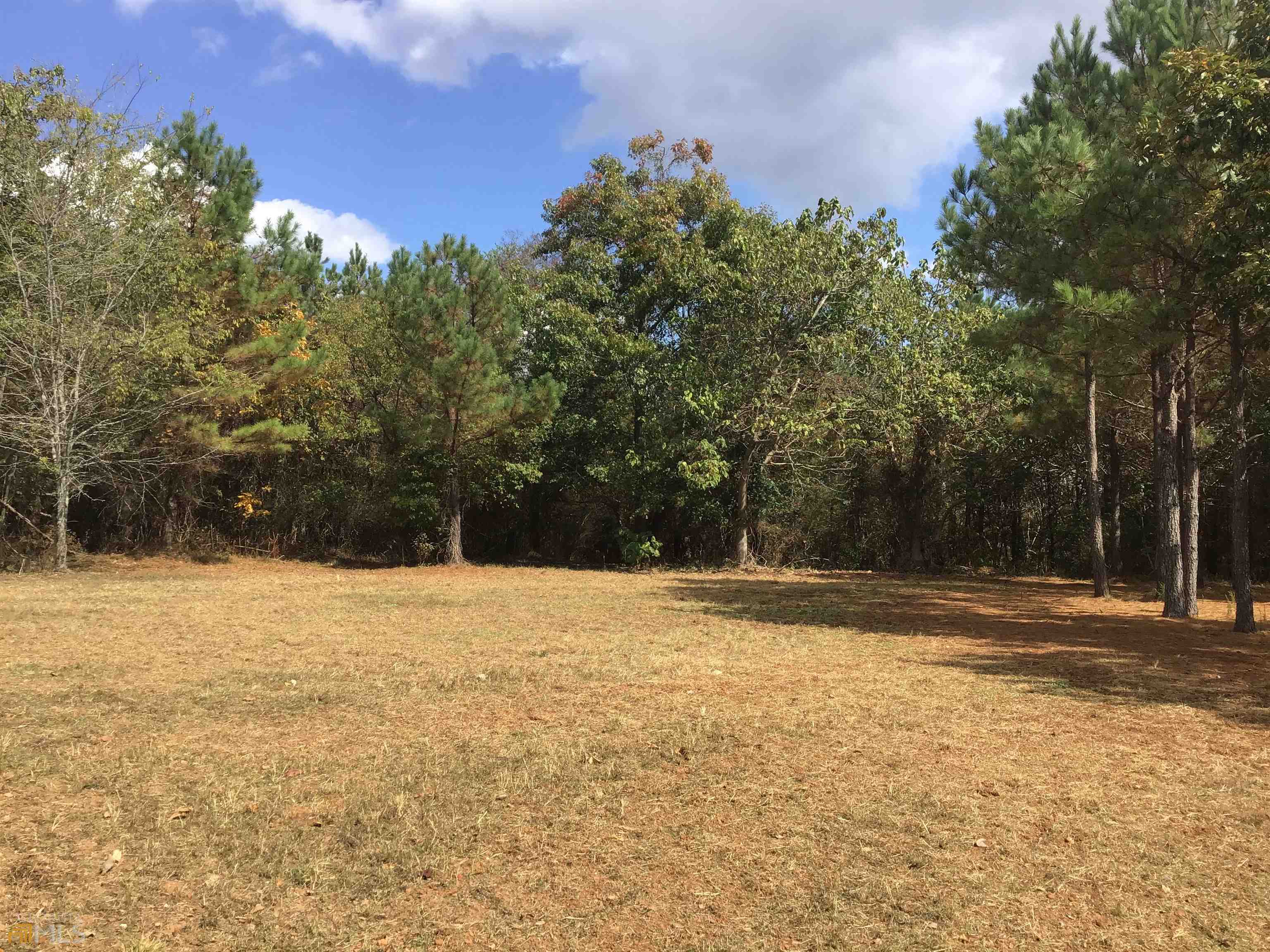 0 Snow Springs Road, Unit 9520EAST Adairsville, GA 30103 - Photo 11 of 14