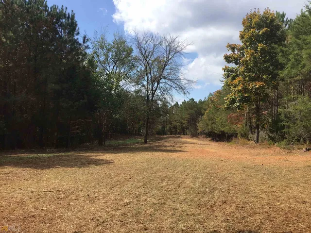 a view of outdoor space with deck and yard