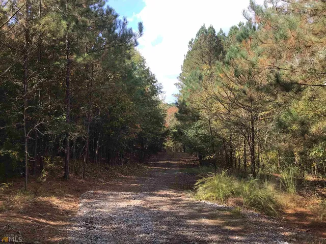 a view of lake with green space