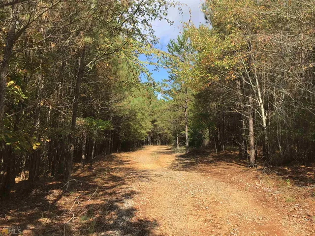a view of a yard with trees