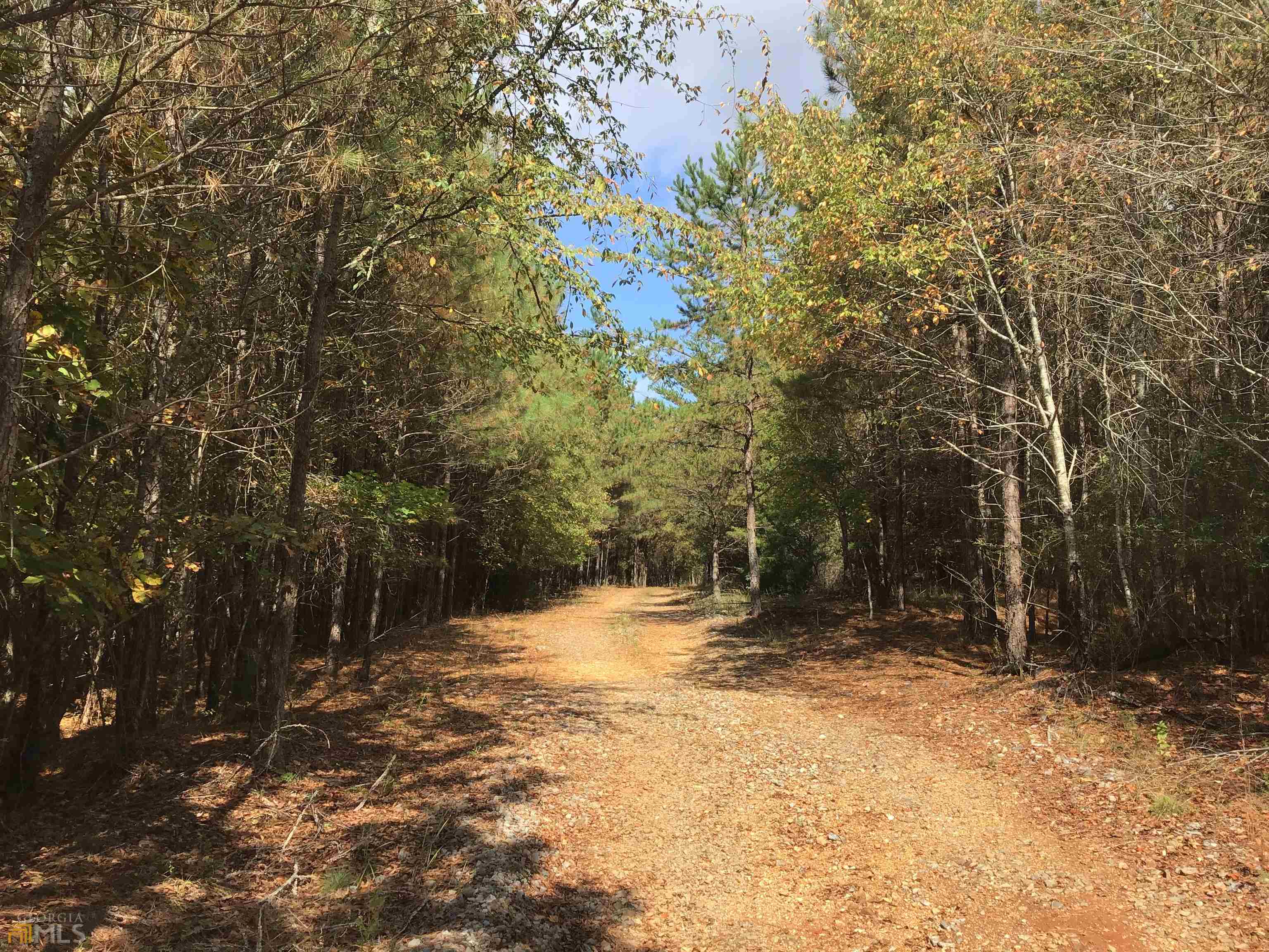 0 Snow Springs Road, Unit 9520EAST Adairsville, GA 30103 - Photo 5 of 14