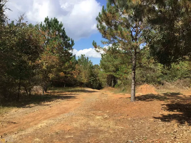 a view of empty space with trees