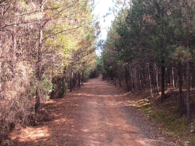 a view of backyard with trees