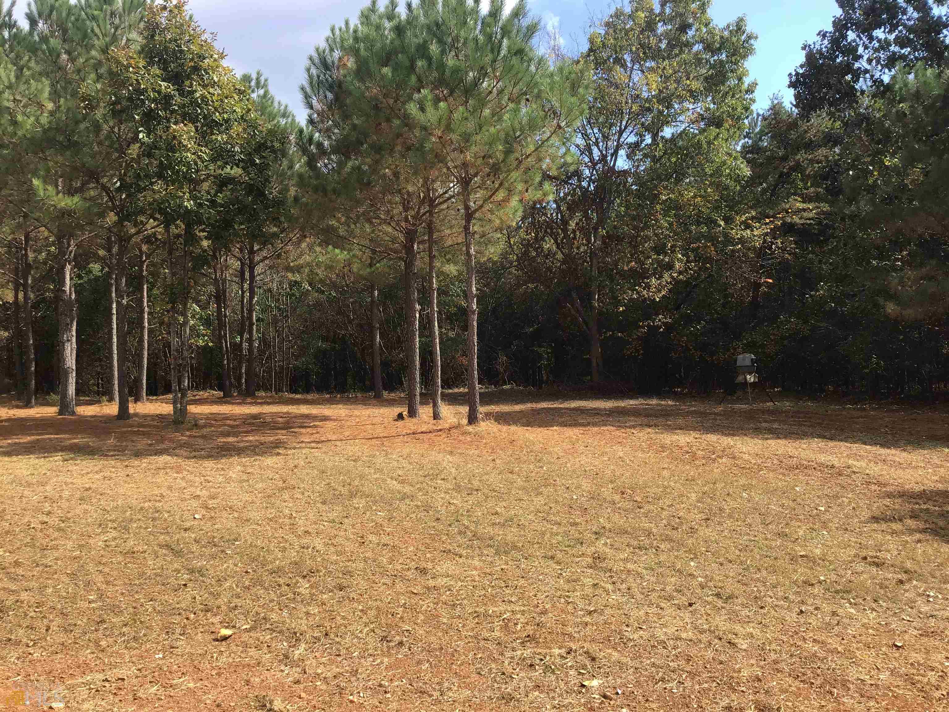 0 Snow Springs Road, Unit 9520EAST Adairsville, GA 30103 - Photo 10 of 14