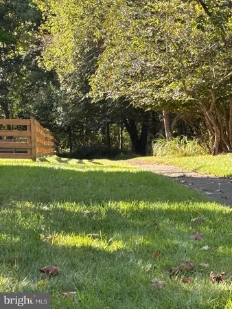 a view of a yard with trees