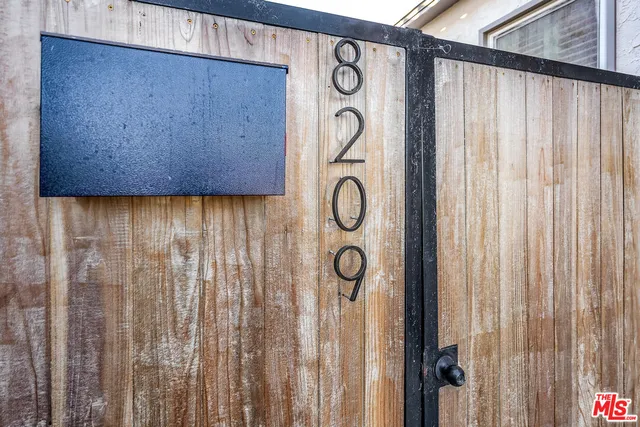 a view of a garden with plants