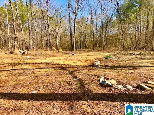241 Valley Creek Road Piedmont, AL 36272 - Photo 1 of 13