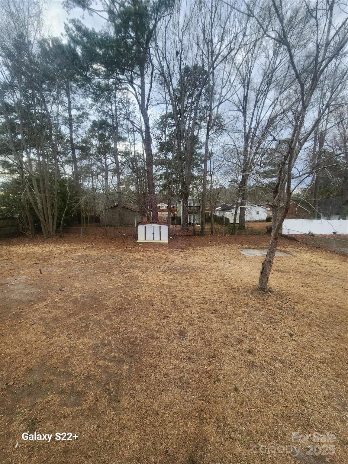 305 Louise Avenue Rockingham, NC 28379 - Photo 18 of 20 a view of outdoor space with trees