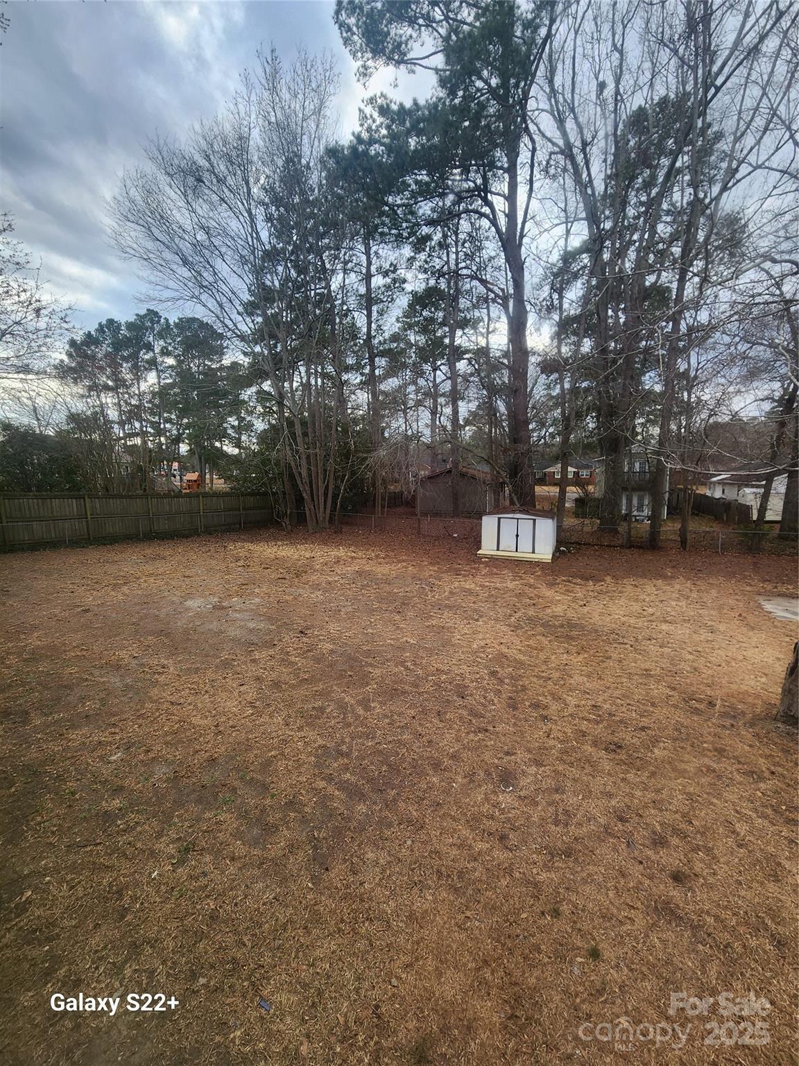 305 Louise Avenue Rockingham, NC 28379 - Photo 19 of 20 a view of a yard with a trees