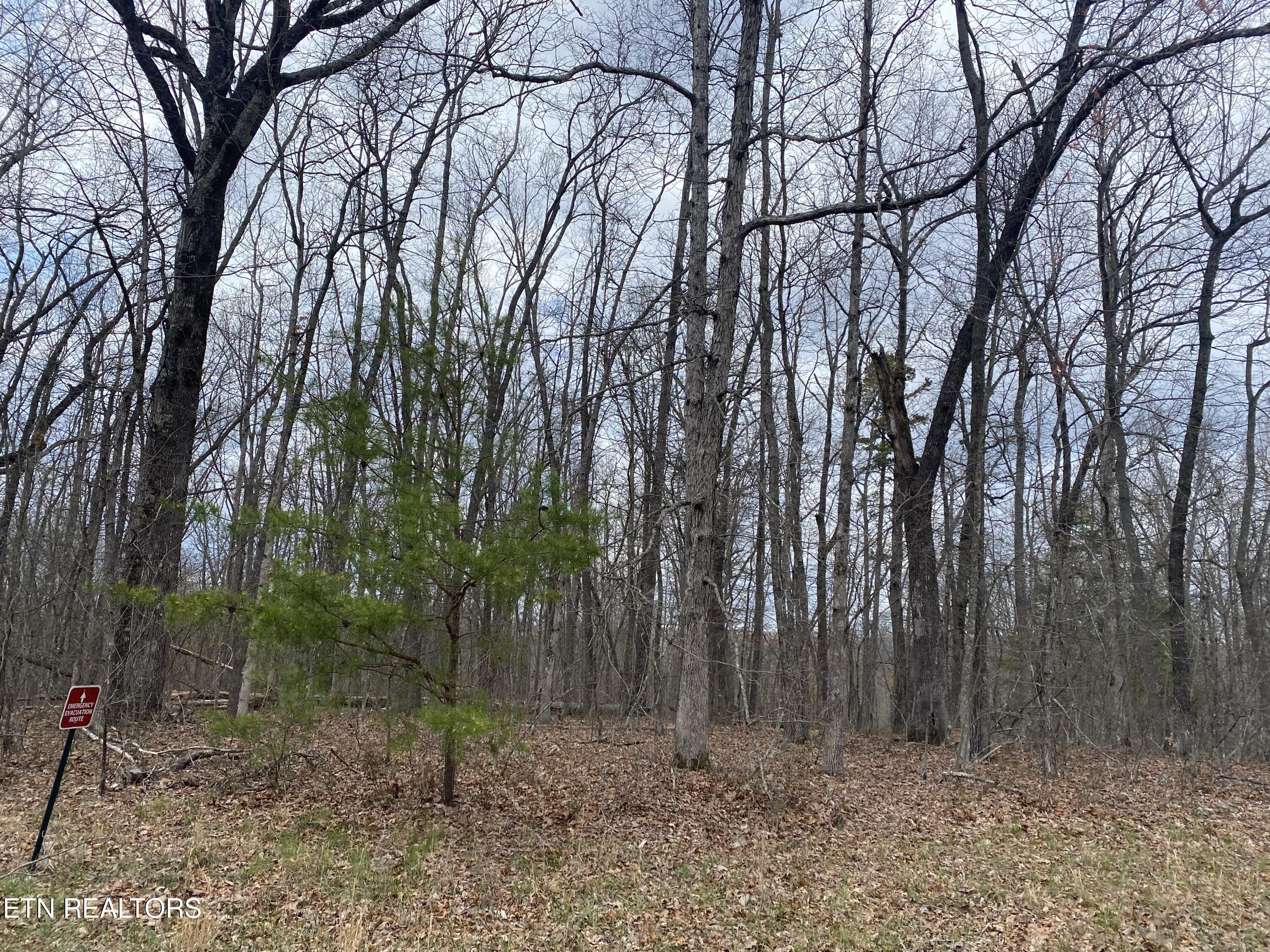 1116 Bow Road Monterey, TN 38574 - Photo 1 of 13 Photo Apr 11 2025, 14 44 54