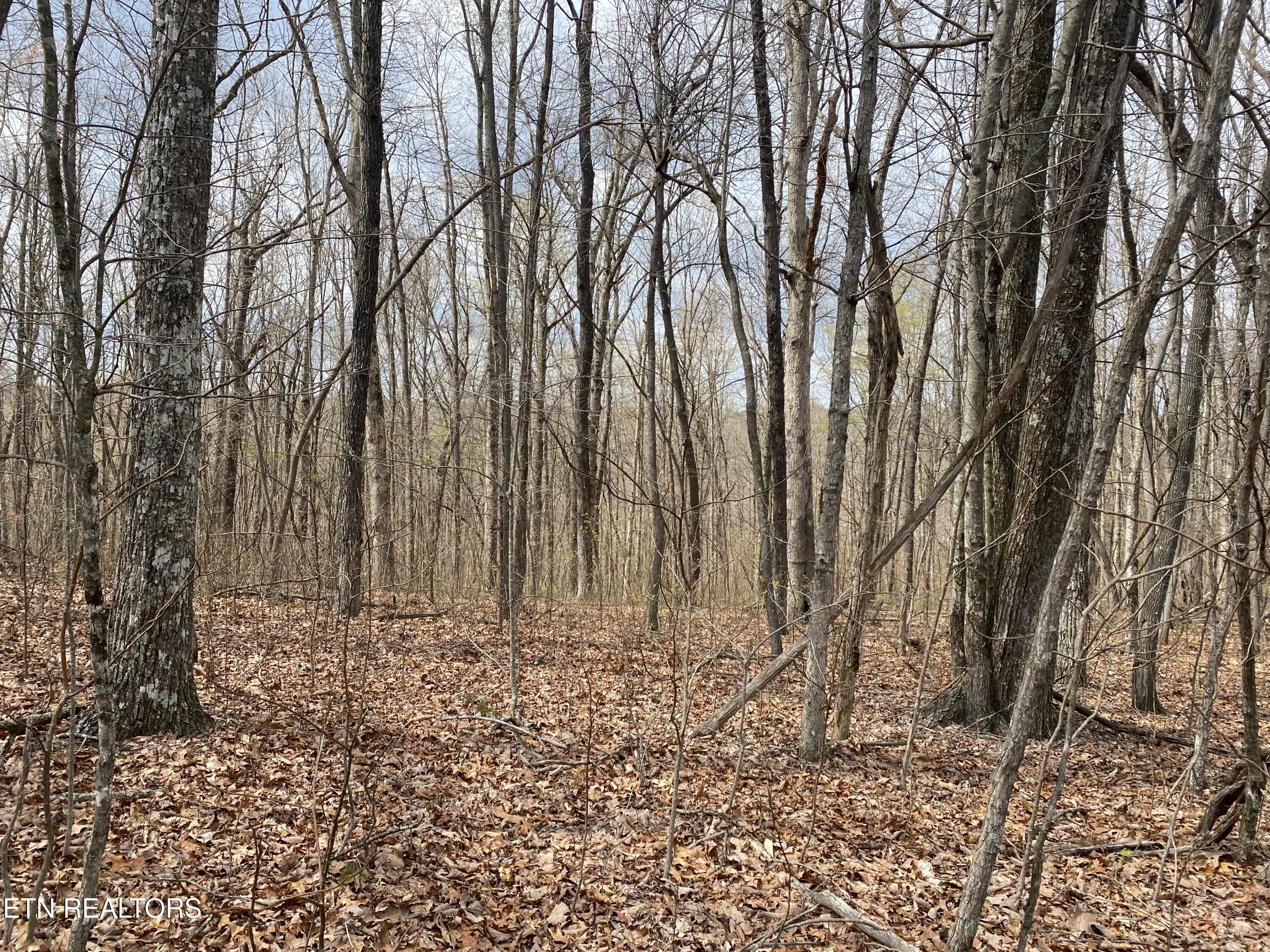 1116 Bow Road Monterey, TN 38574 - Photo 11 of 13 Photo Apr 11 2025, 14 51 36