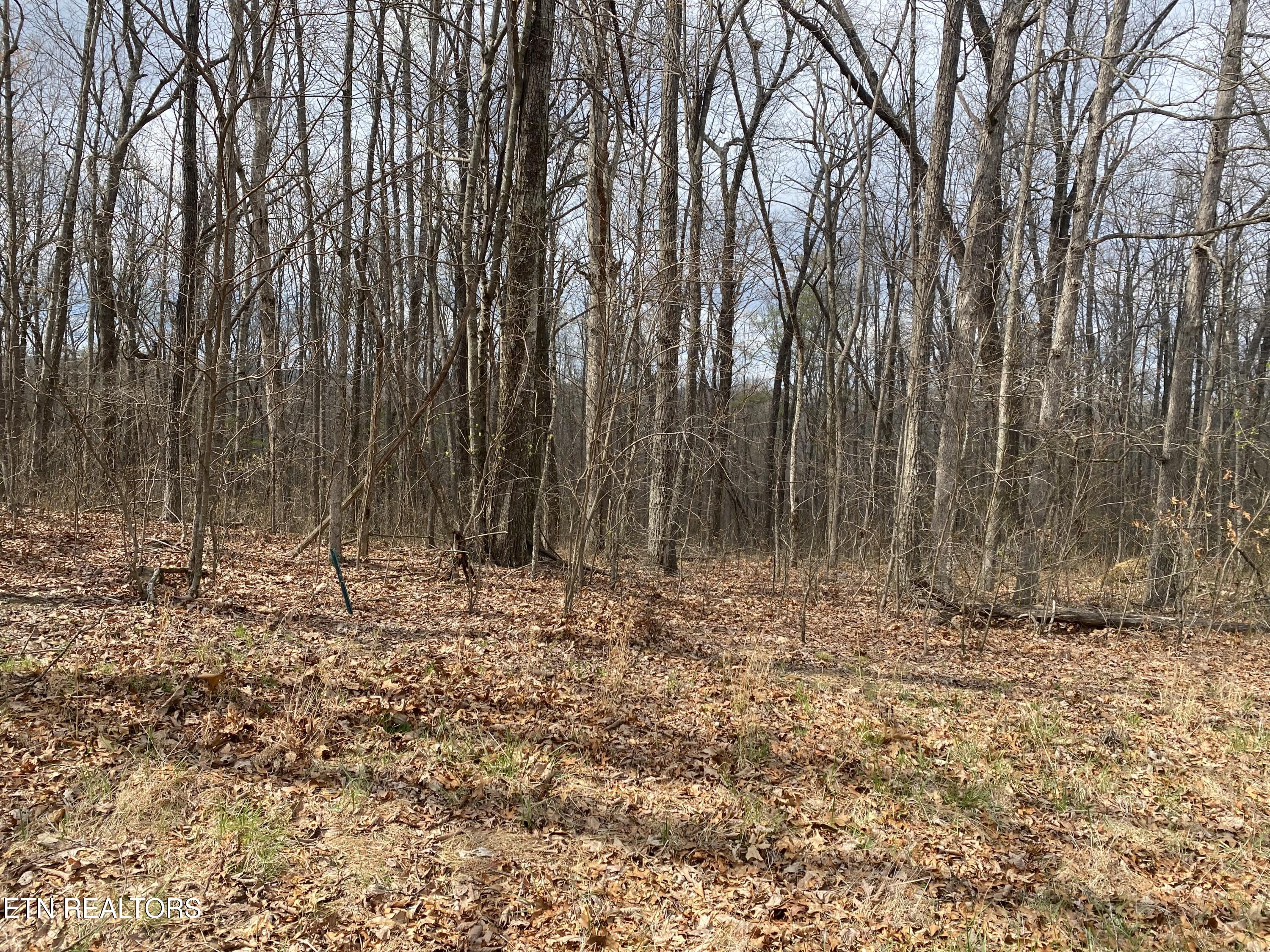 1116 Bow Road Monterey, TN 38574 - Photo 13 of 13 Photo Apr 11 2025, 14 52 04