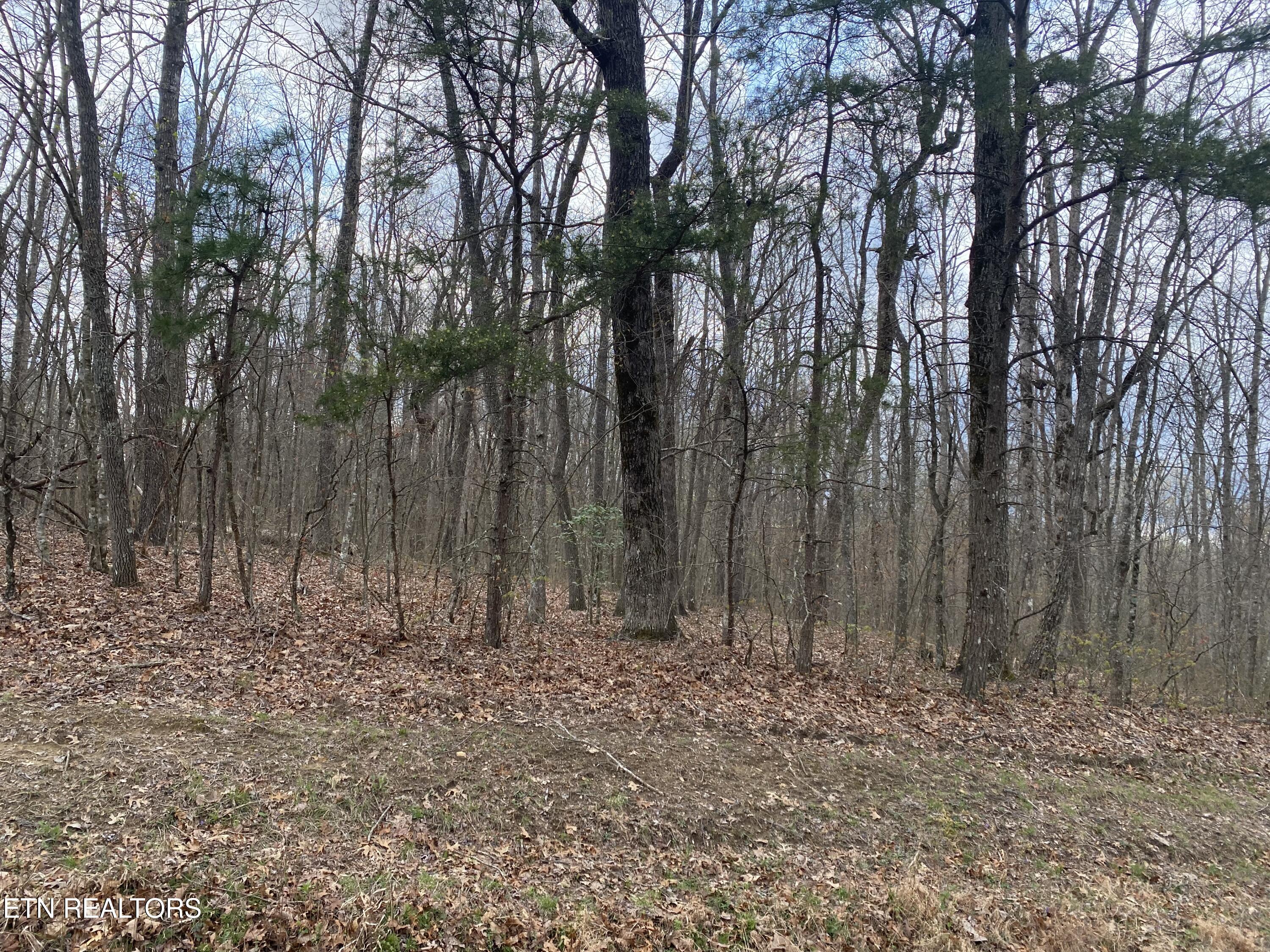 1116 Bow Road Monterey, TN 38574 - Photo 2 of 13 Photo Apr 11 2025, 14 45 28