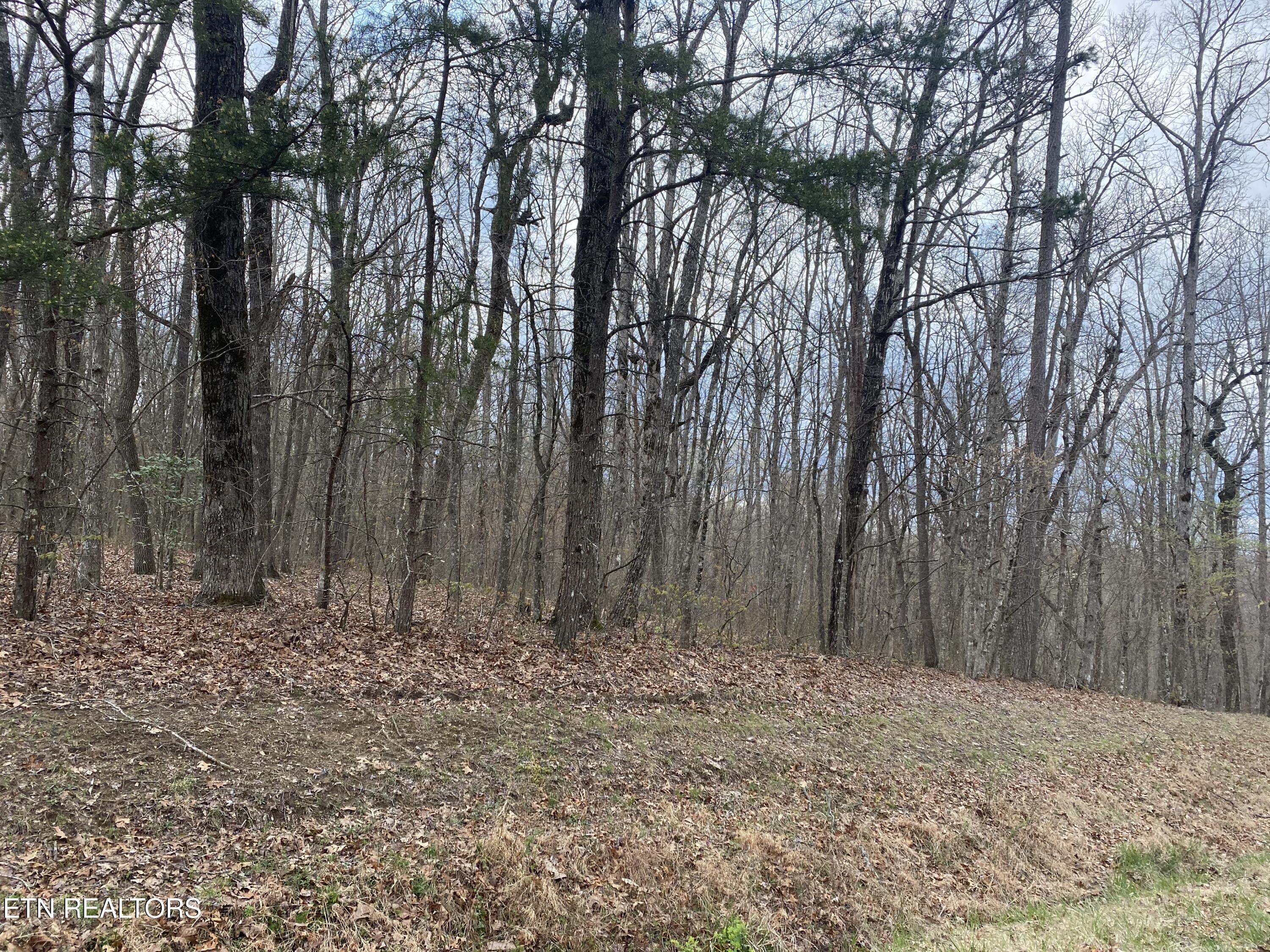 1116 Bow Road Monterey, TN 38574 - Photo 3 of 13 Photo Apr 11 2025, 14 45 30