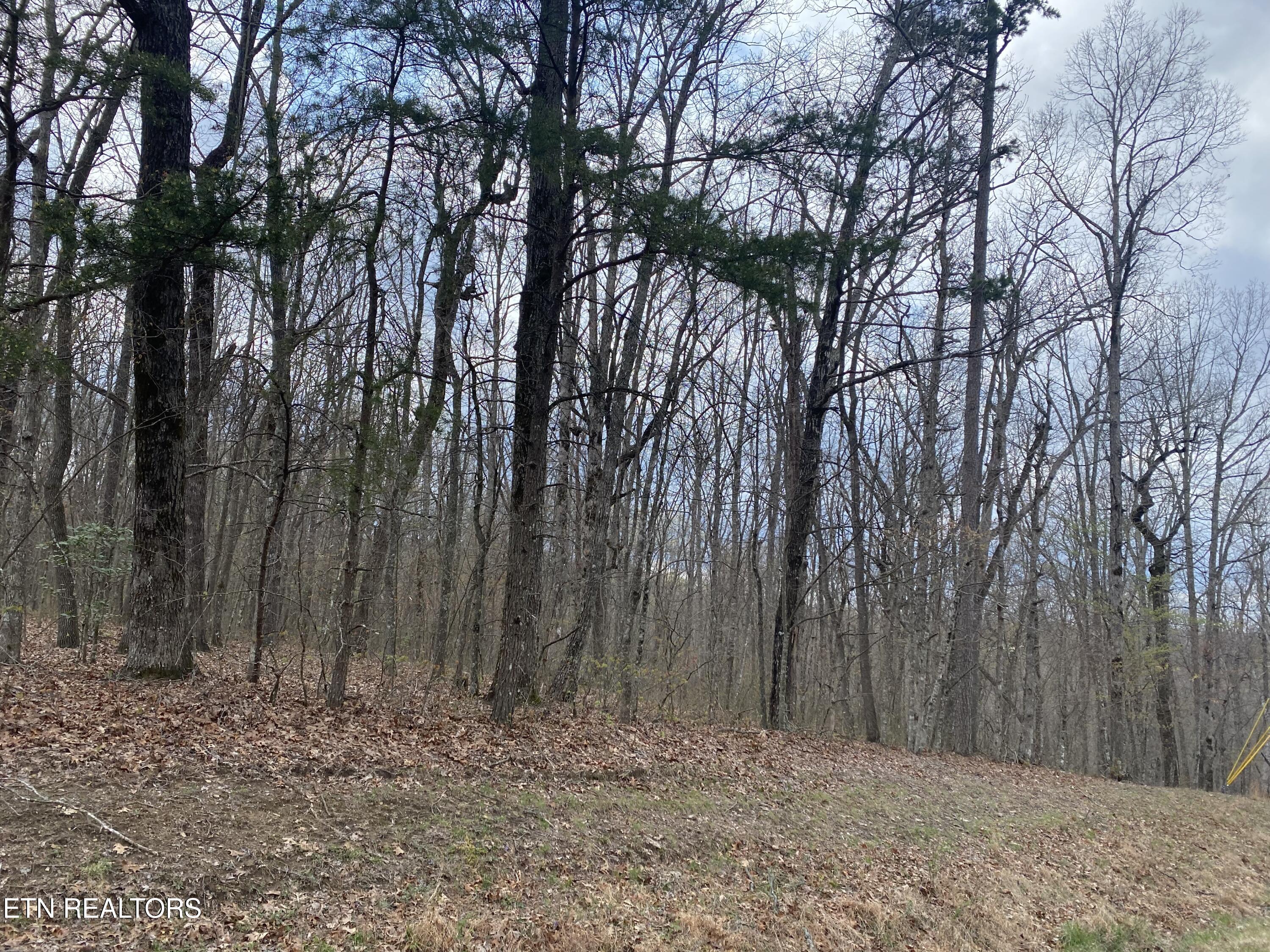 1116 Bow Road Monterey, TN 38574 - Photo 4 of 13 Photo Apr 11 2025, 14 45 32