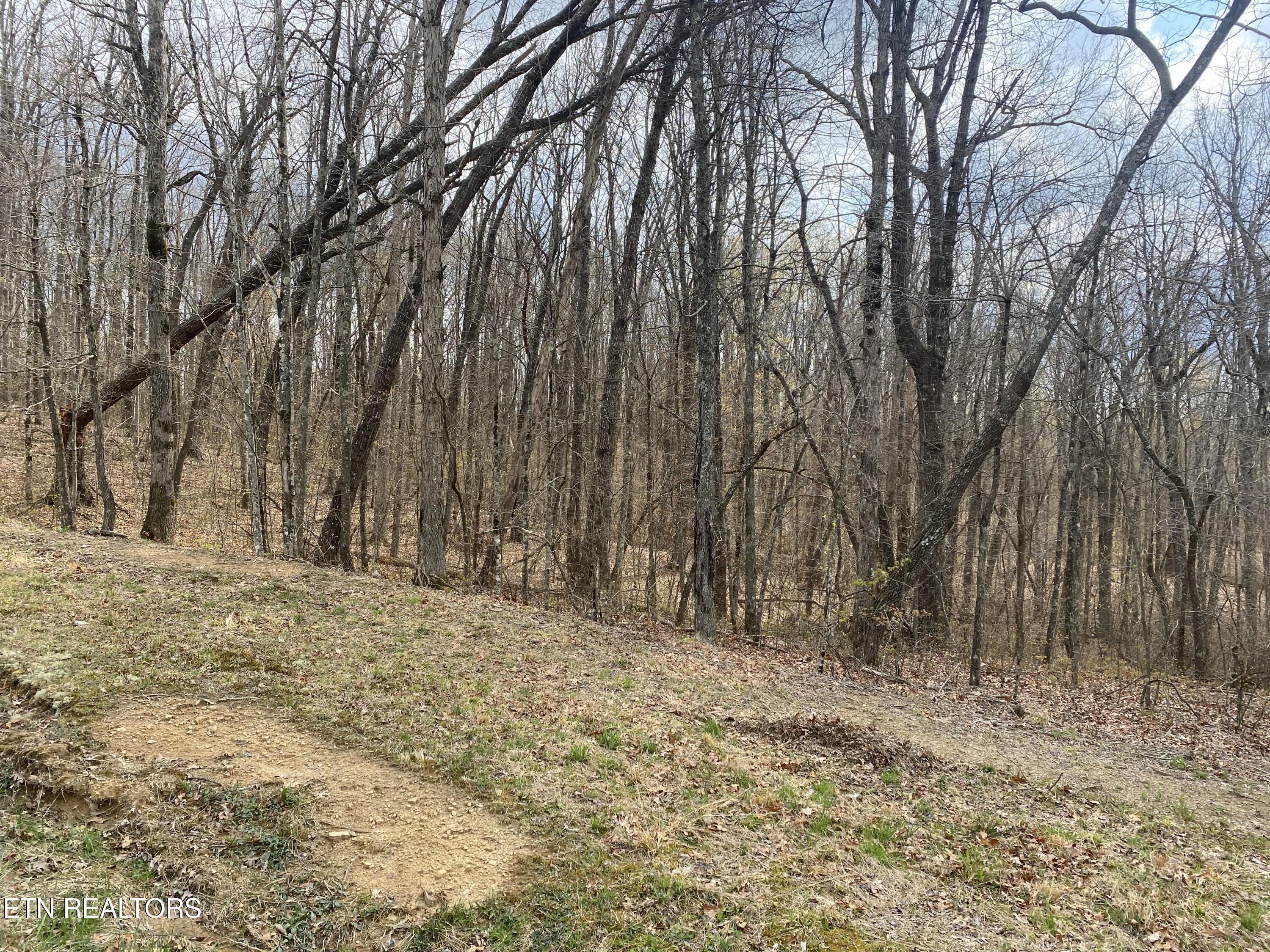 1116 Bow Road Monterey, TN 38574 - Photo 6 of 13 Photo Apr 11 2025, 14 46 27