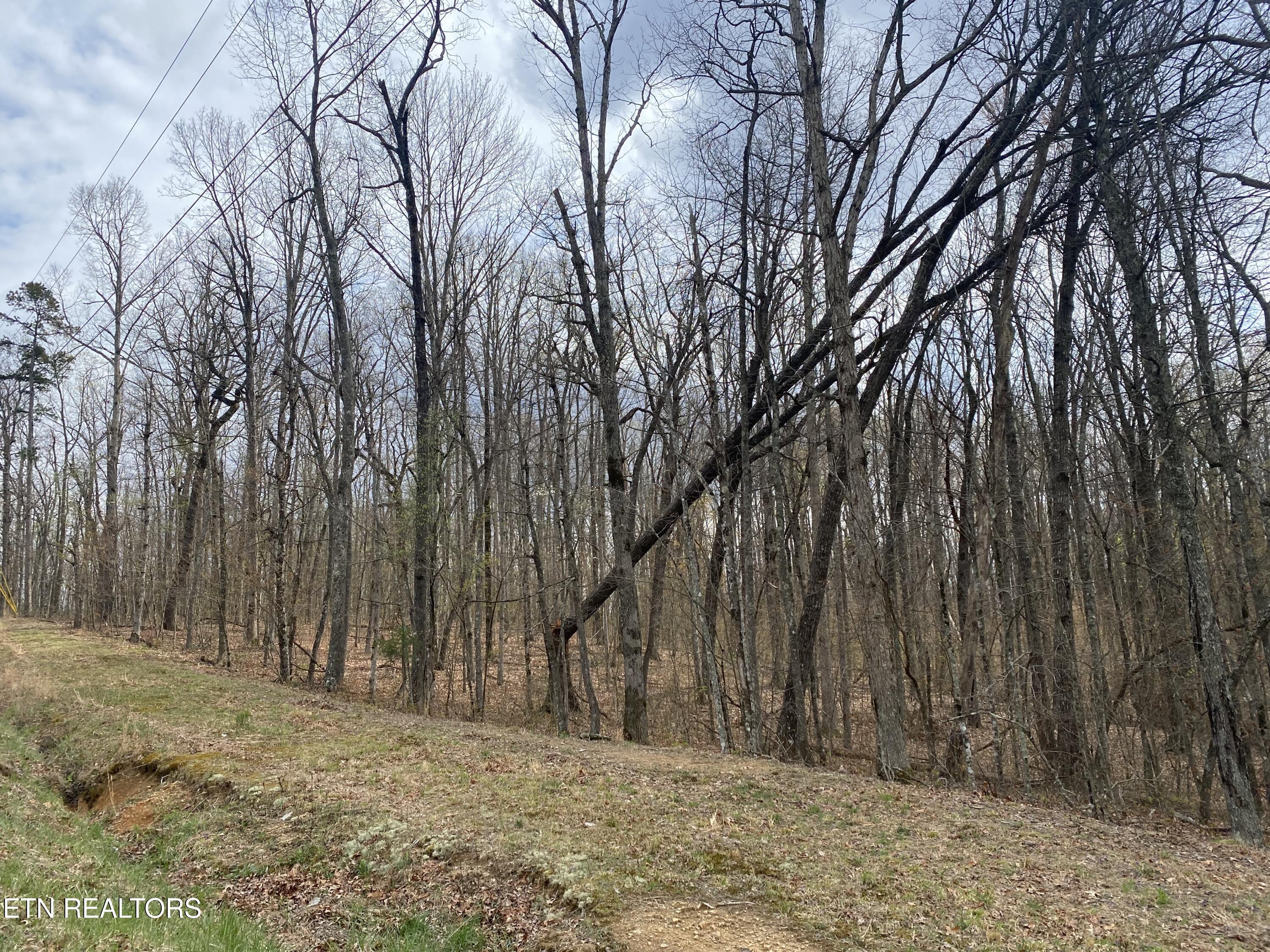 1116 Bow Road Monterey, TN 38574 - Photo 7 of 13 Photo Apr 11 2025, 14 46 29
