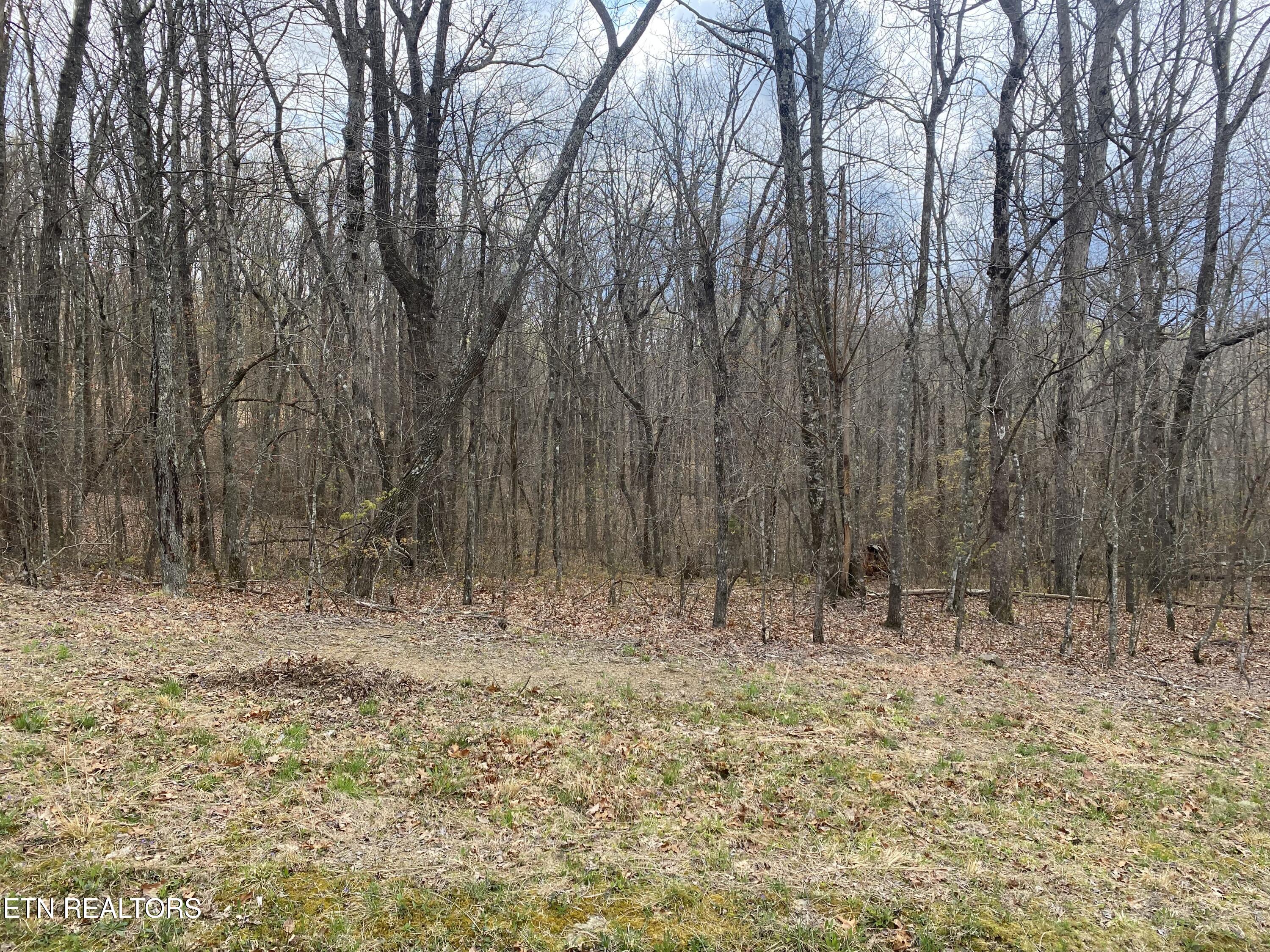 1116 Bow Road Monterey, TN 38574 - Photo 8 of 13 Photo Apr 11 2025, 14 46 31
