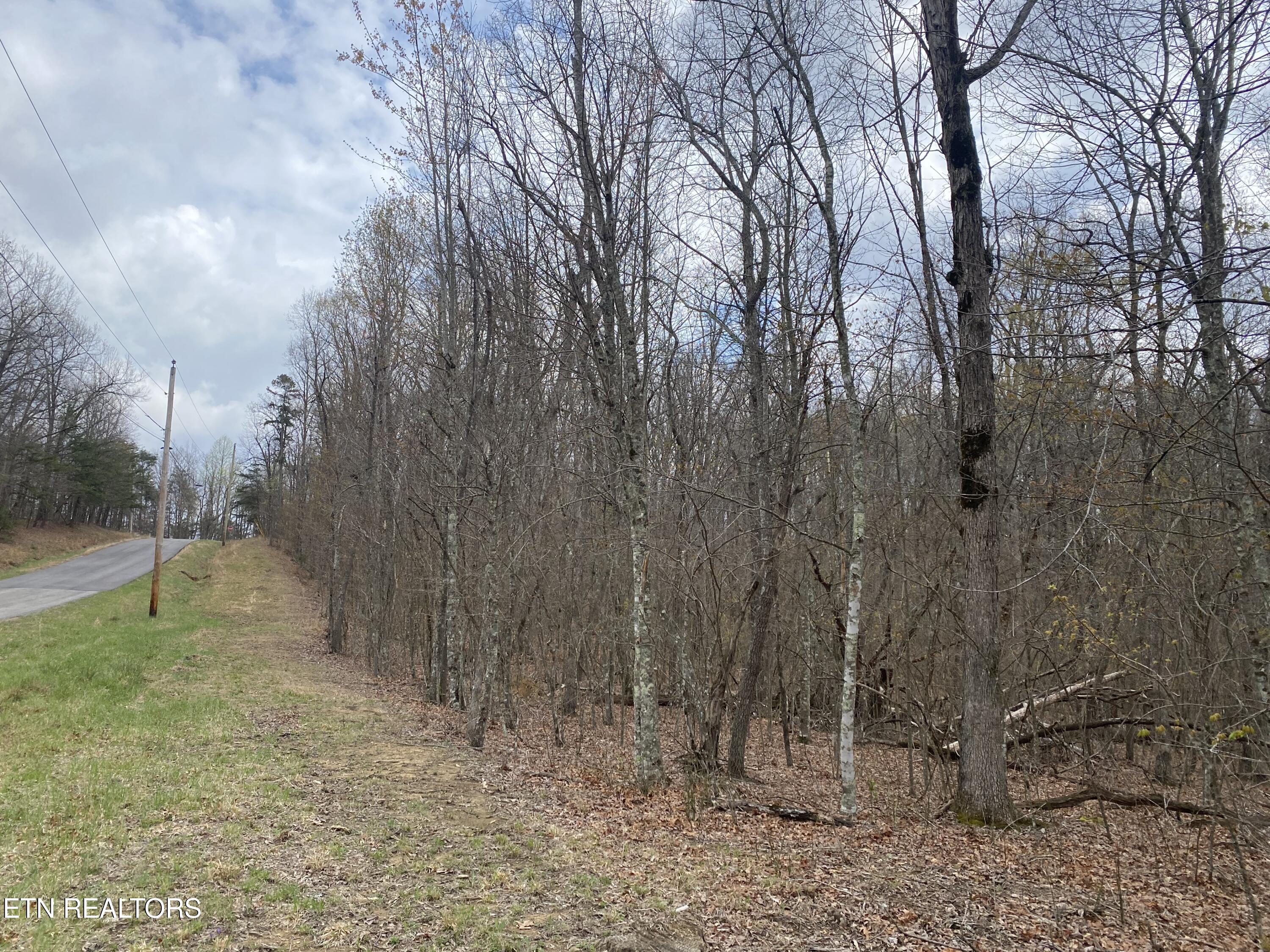 1116 Bow Road Monterey, TN 38574 - Photo 10 of 13 Photo Apr 11 2025, 14 48 48