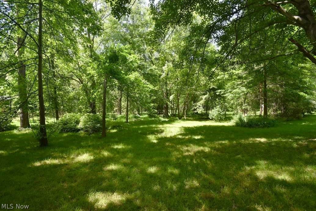 37860 Aurora Road Solon, OH 44139 - Photo 20 of 21 Back yard