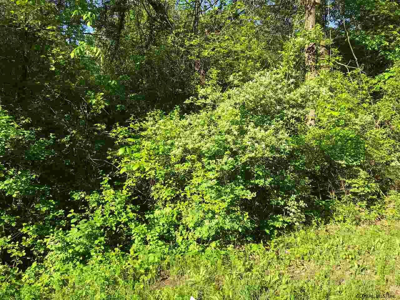 34 Buckbee Road Troy, NY 12180 - Photo 3 of 3 Photo 3