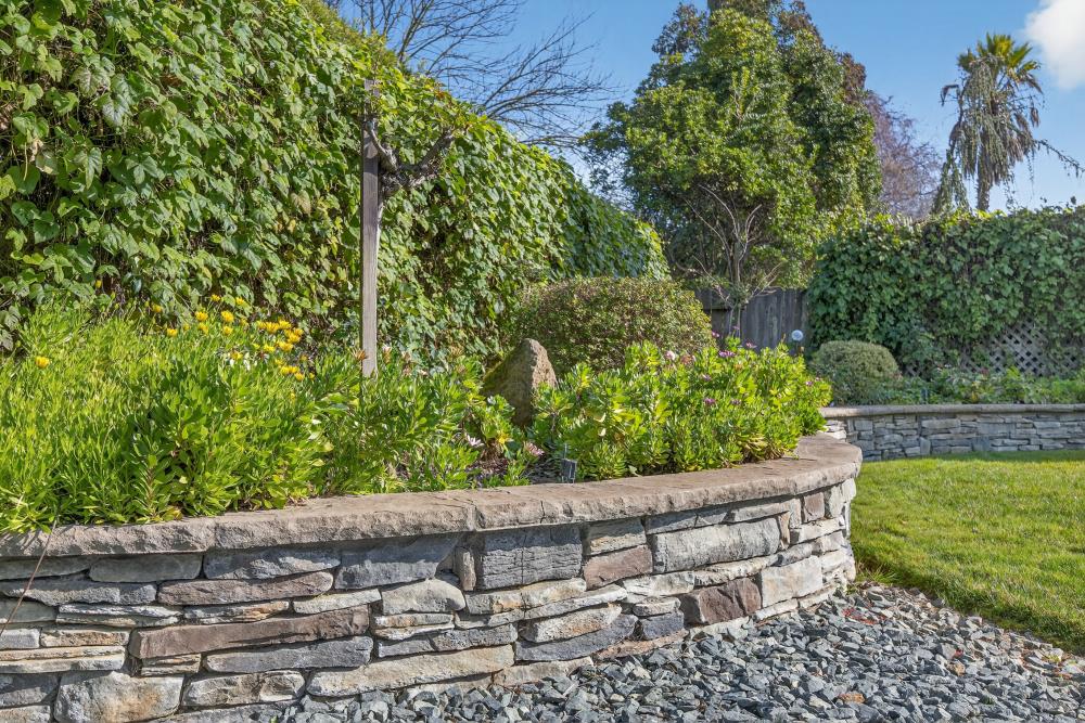 5033 El Cemonte Avenue Davis, CA 95618 - Photo 64 of 76 a view of a back yard of the house