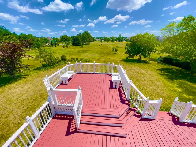 a small garden covered with tall trees