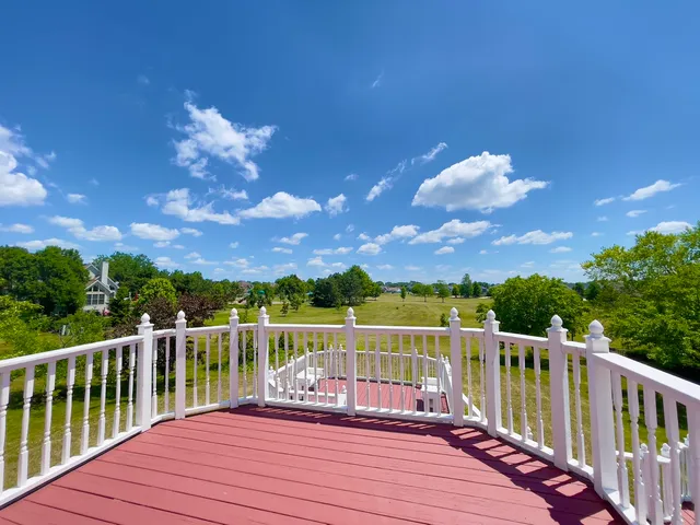 a view of a flower in a yard