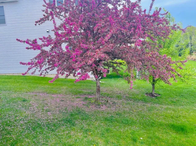 an aerial view of residential house with outdoor space and swimming pool