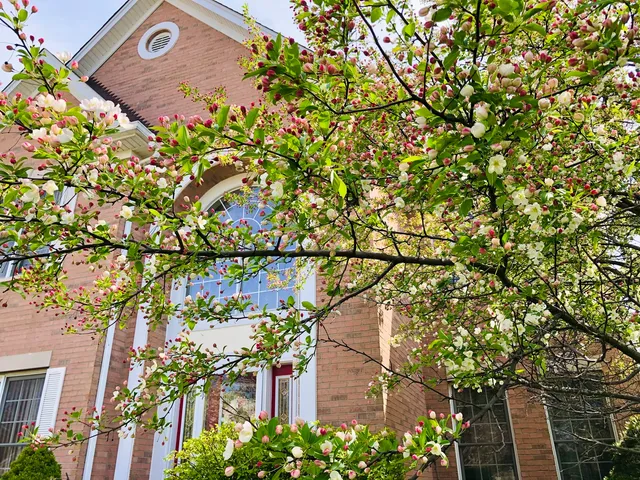 a very nice looking room with a chandelier