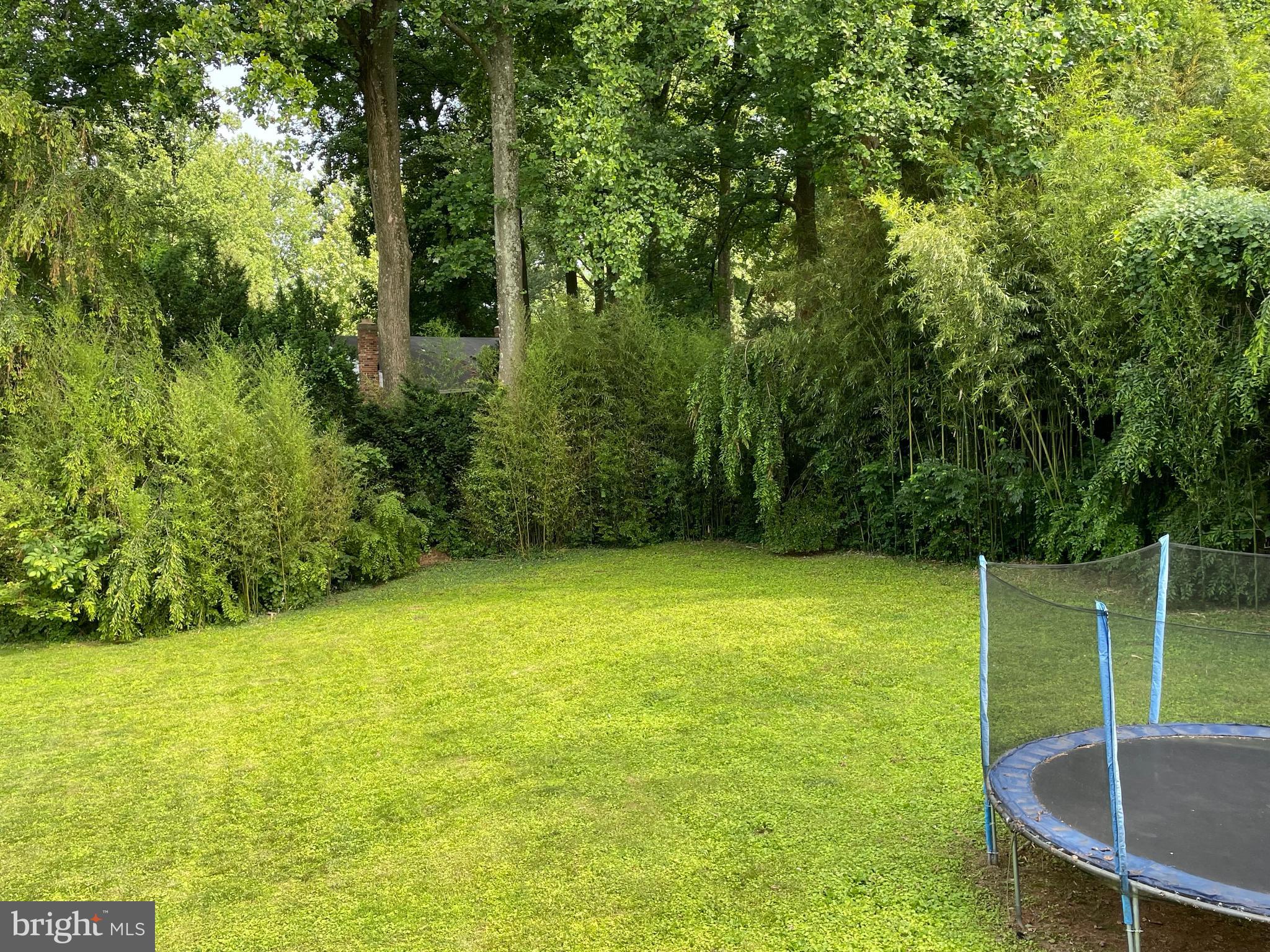 3301 Jermantown Road Fairfax, VA 22030 - Photo 41 of 44 Large flat yard