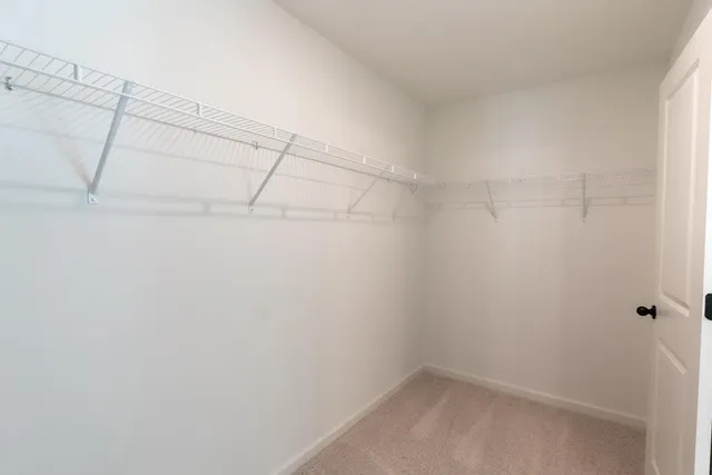 a small space with a shower