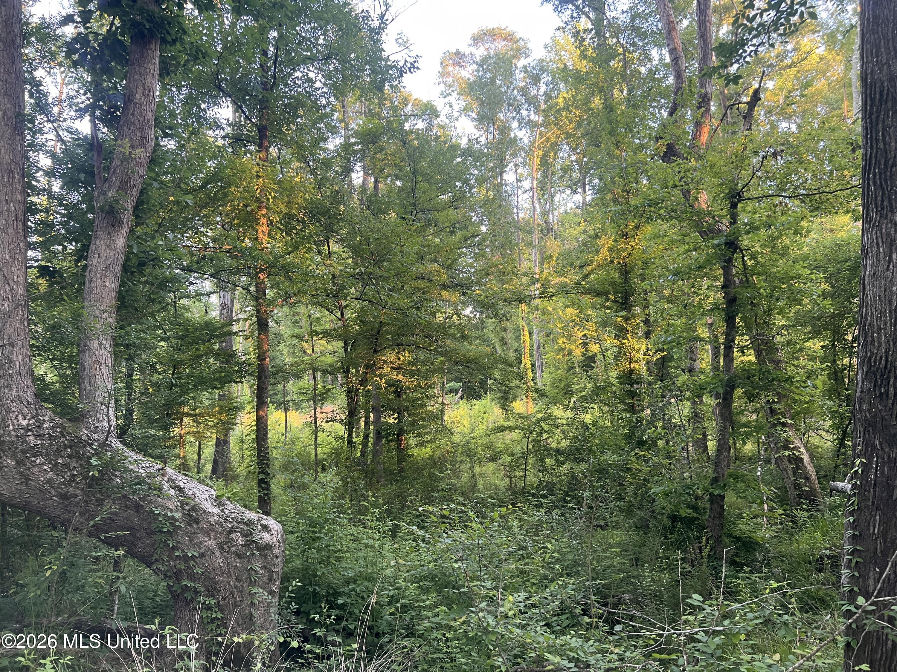 5734 Hebron Road Liberty, MS 39645 - Photo 22 of 32 22.