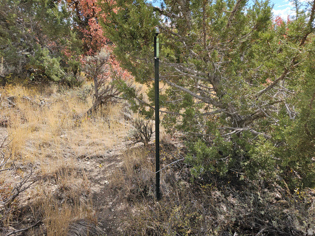 15 East Lake Fork Road South, Unit 15 Mount Pleasant, UT 84647 - Photo 10 of 18
