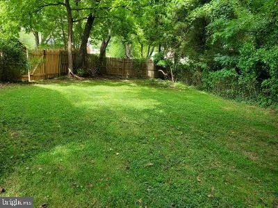 a backyard of a house with plants and large trees