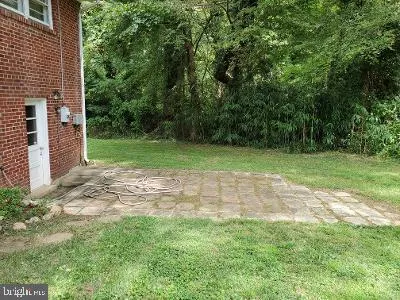 a view of a yard with plants and large trees