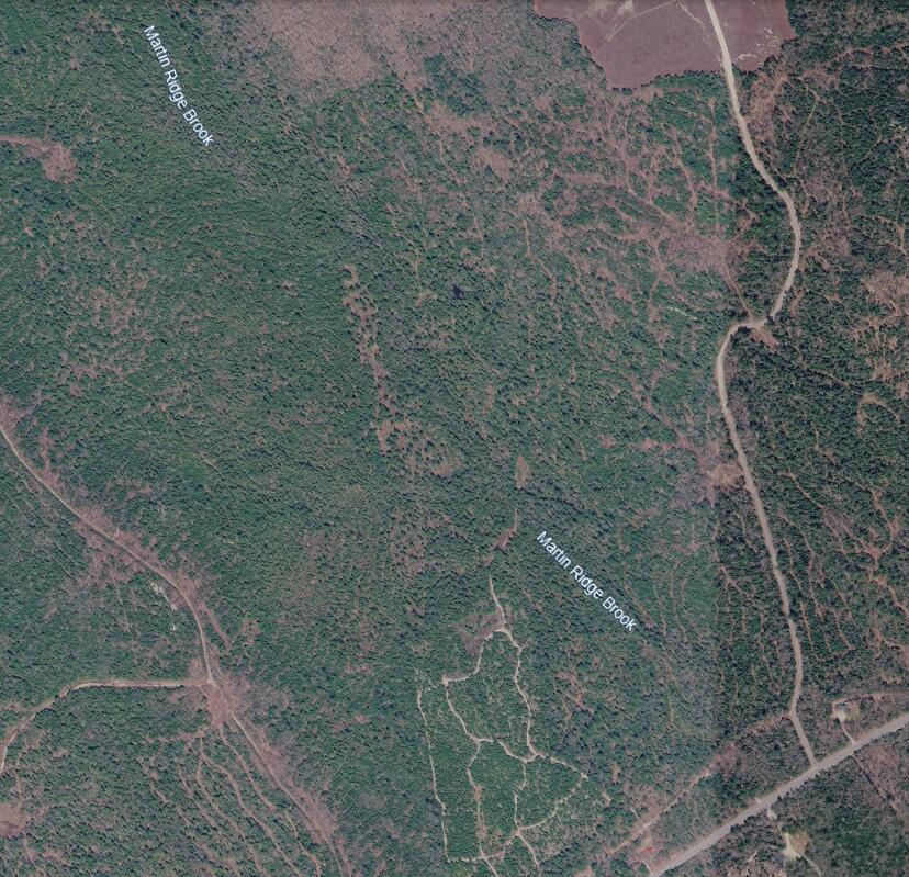 Map10-lot27 Blackswoods Road Franklin, ME 04634 - Photo 3 of 4 Screenshot (178)