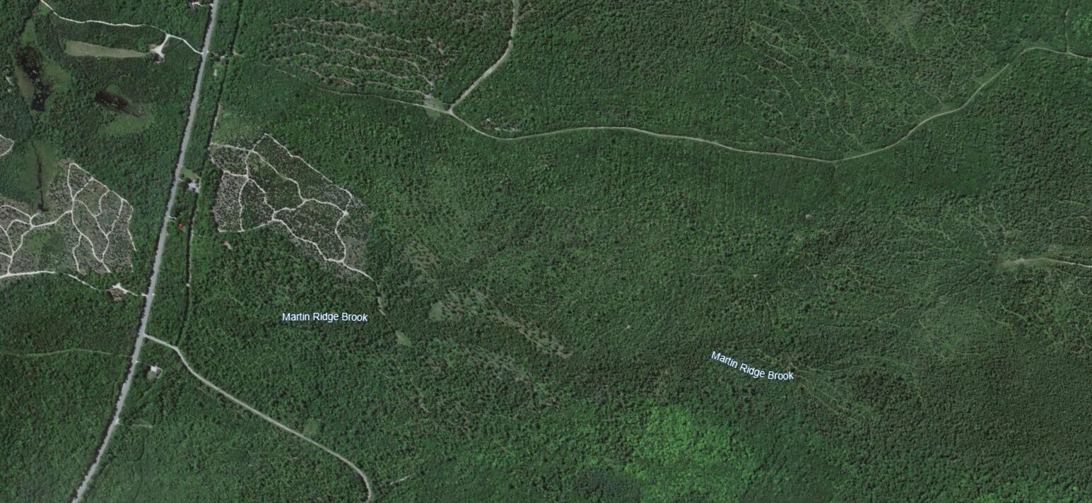 Map10-lot27 Blackswoods Road Franklin, ME 04634 - Photo 4 of 4 Screenshot (182)