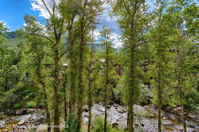 a view of a city with lush green forest