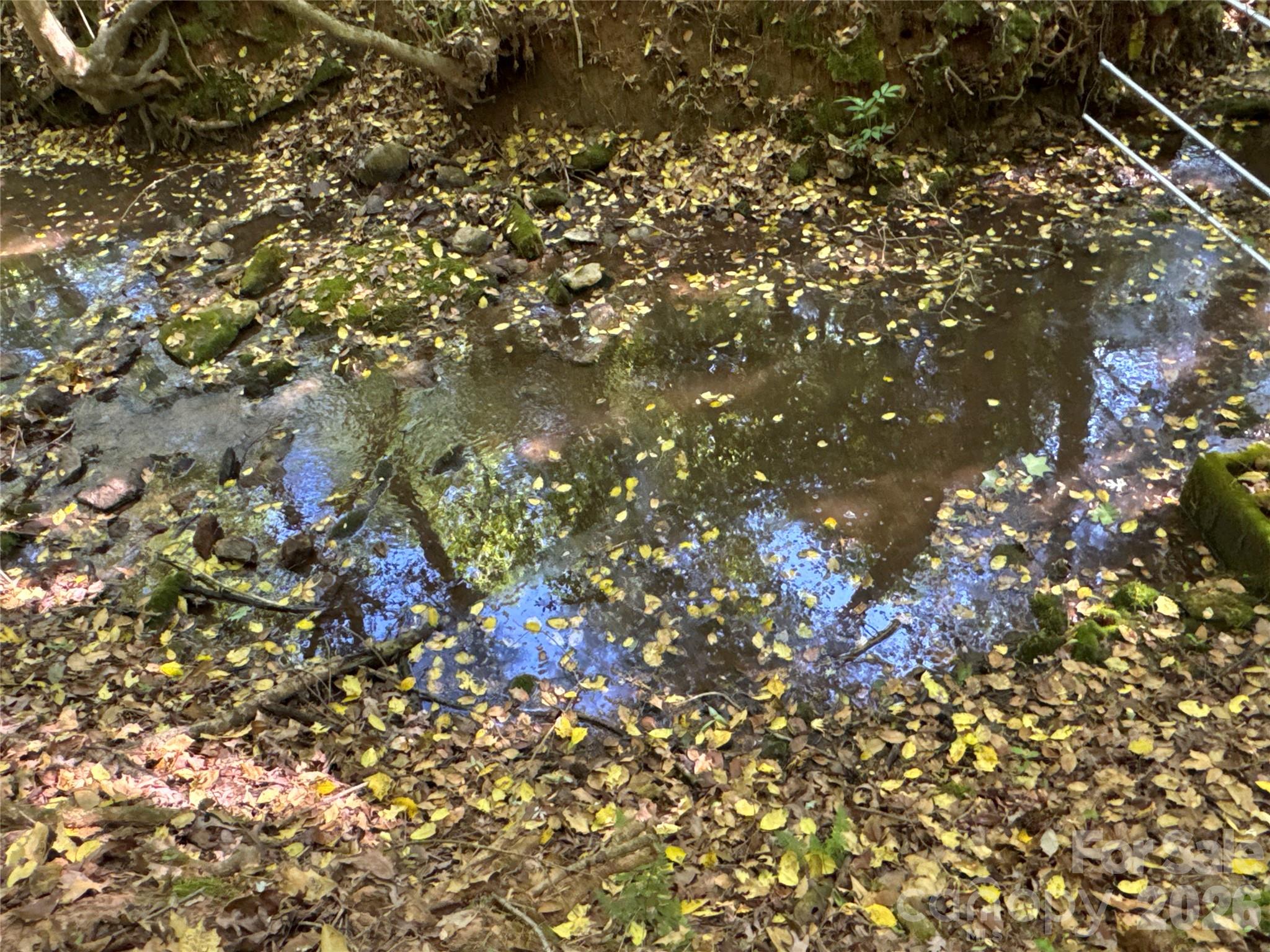 0 Casar Road Casar, NC 28020 - Photo 11 of 16